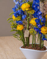 سفر التكوين